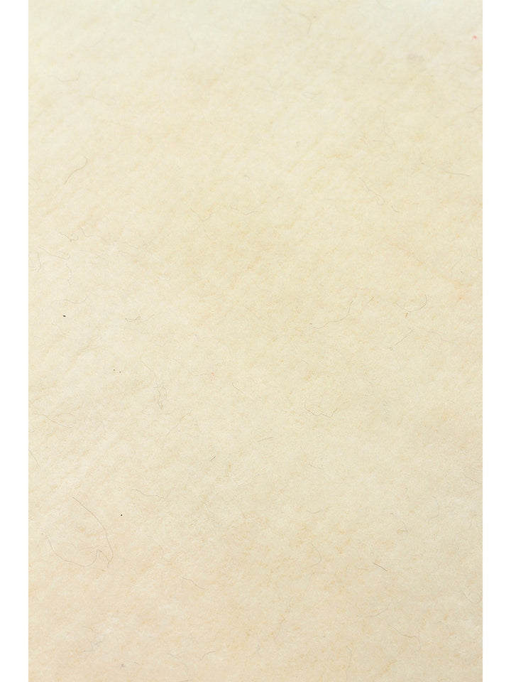 New Zealand Series 100% Natural New Zealand Wool Hand Woven Living Room Living Room Bedroom Carpet IVR